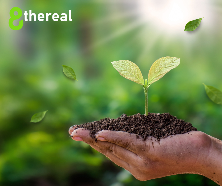 Using Clean Beauty + Ageless Beauty + TheGoodAPI Partnership | 8thereal